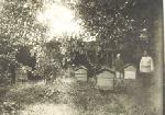 Двор на ул. Азина и Володарского г. Кирова. 1930-е гг. Из альбома Россовой Фаины Александровны.